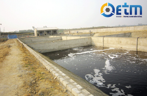 Xử lý nước thải công nghiệp giấy đạt hiệu quả cao